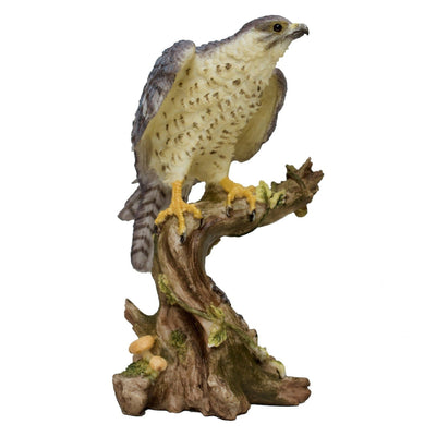 5.9 Inc Falcon resin Statue