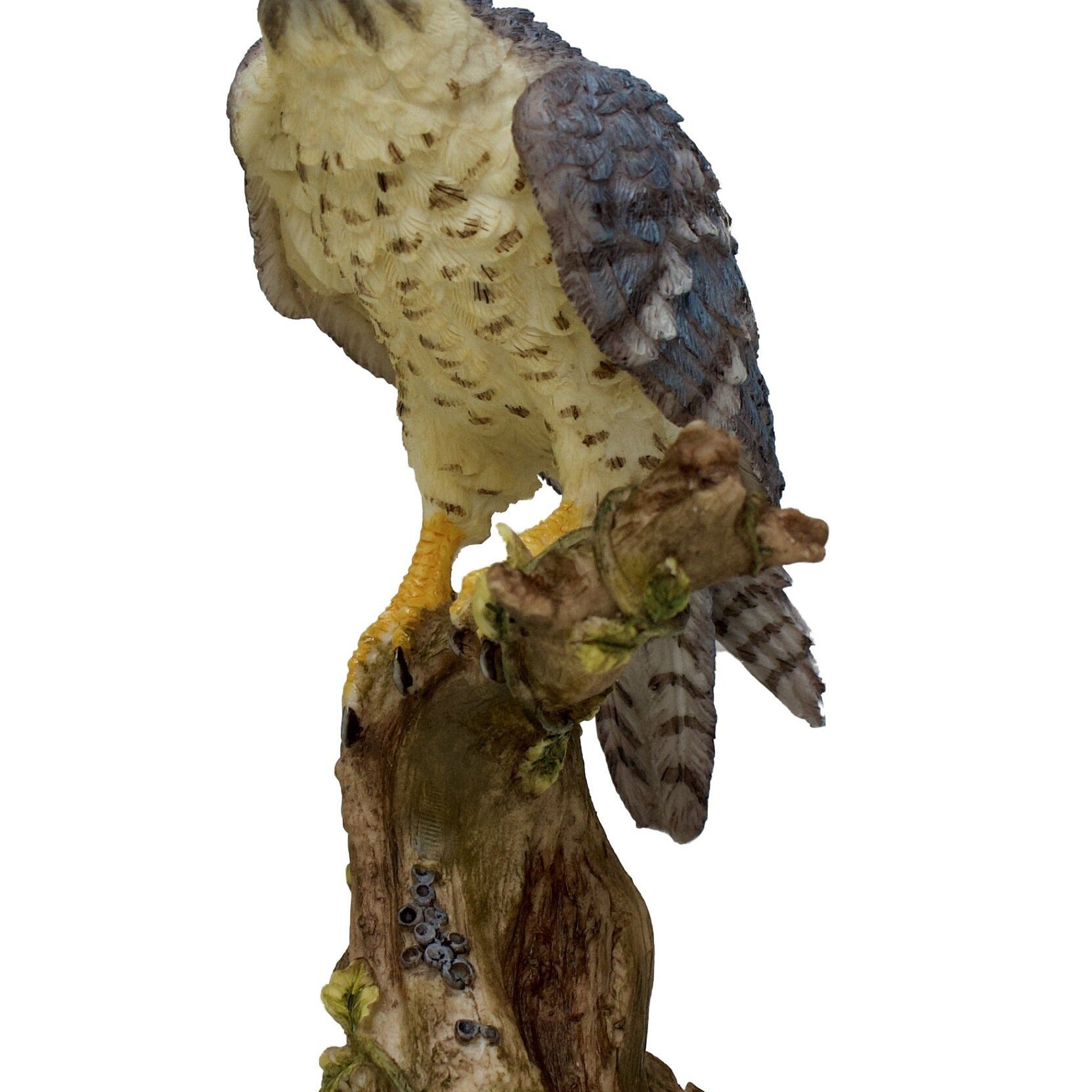 5.9 Inc Falcon resin Statue
