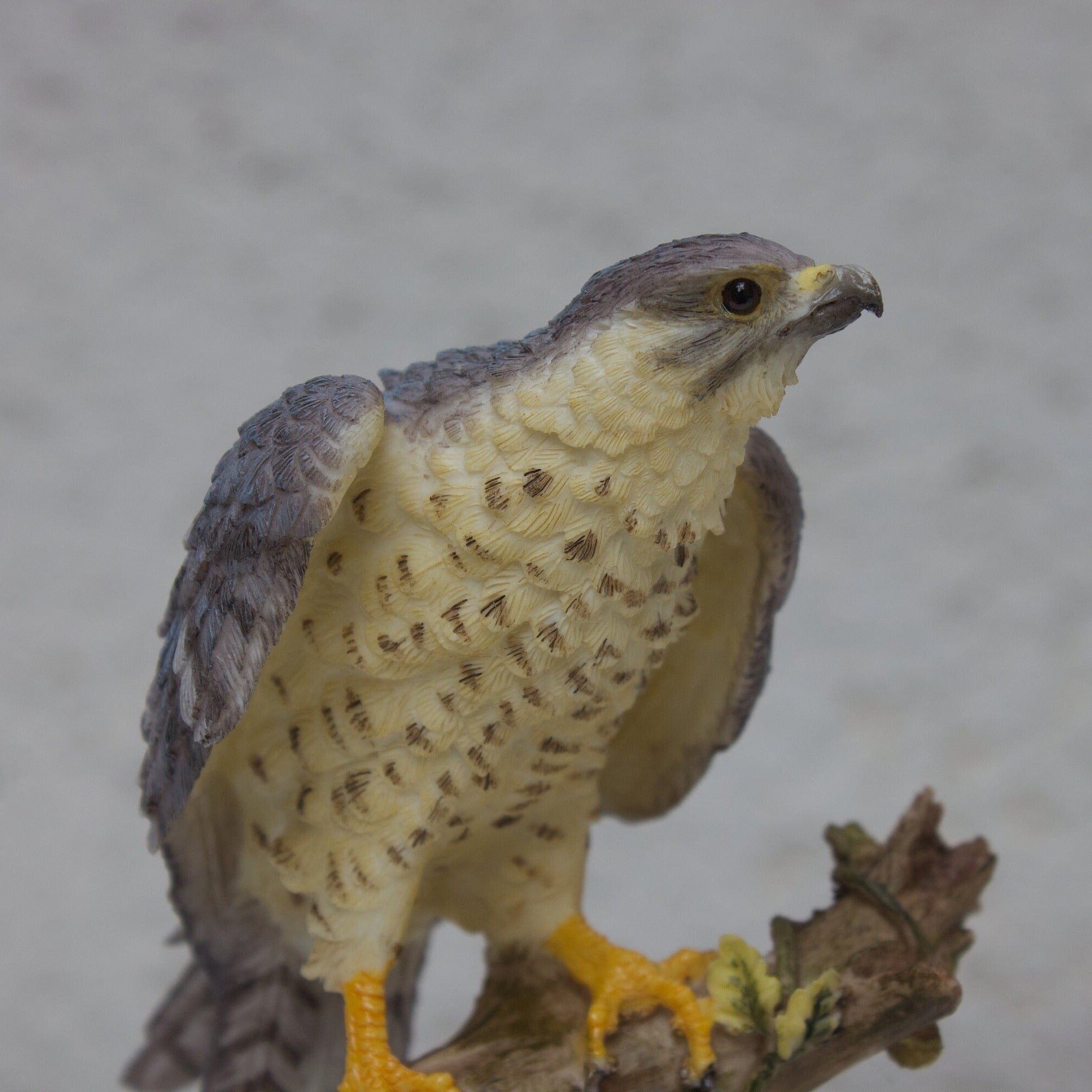 5.9 Inc Falcon resin Statue