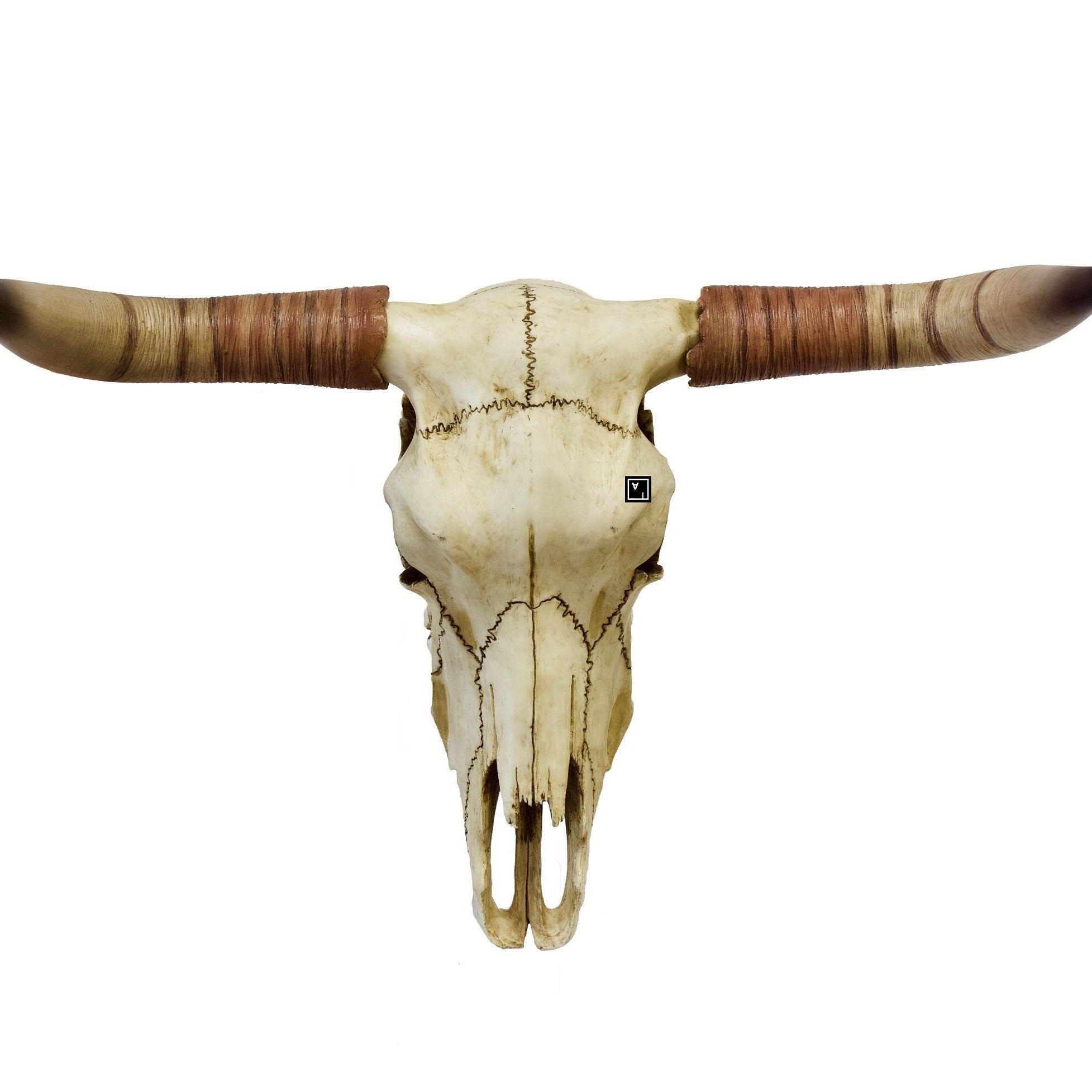 14 Inches Resin Buffalo Skull Head statue