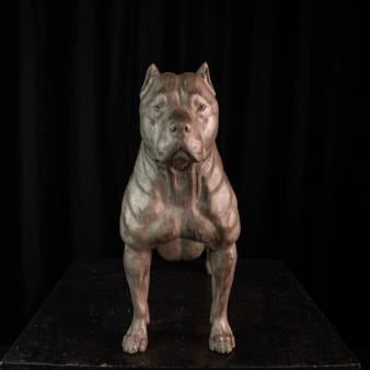 Life Size Solid Bronze Pitbull Garden Sculpture (16 Inches)