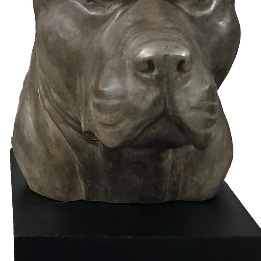 Bronze Pitbull Bust Sculpture: 14-Inch Lost Wax Art on Marble Base