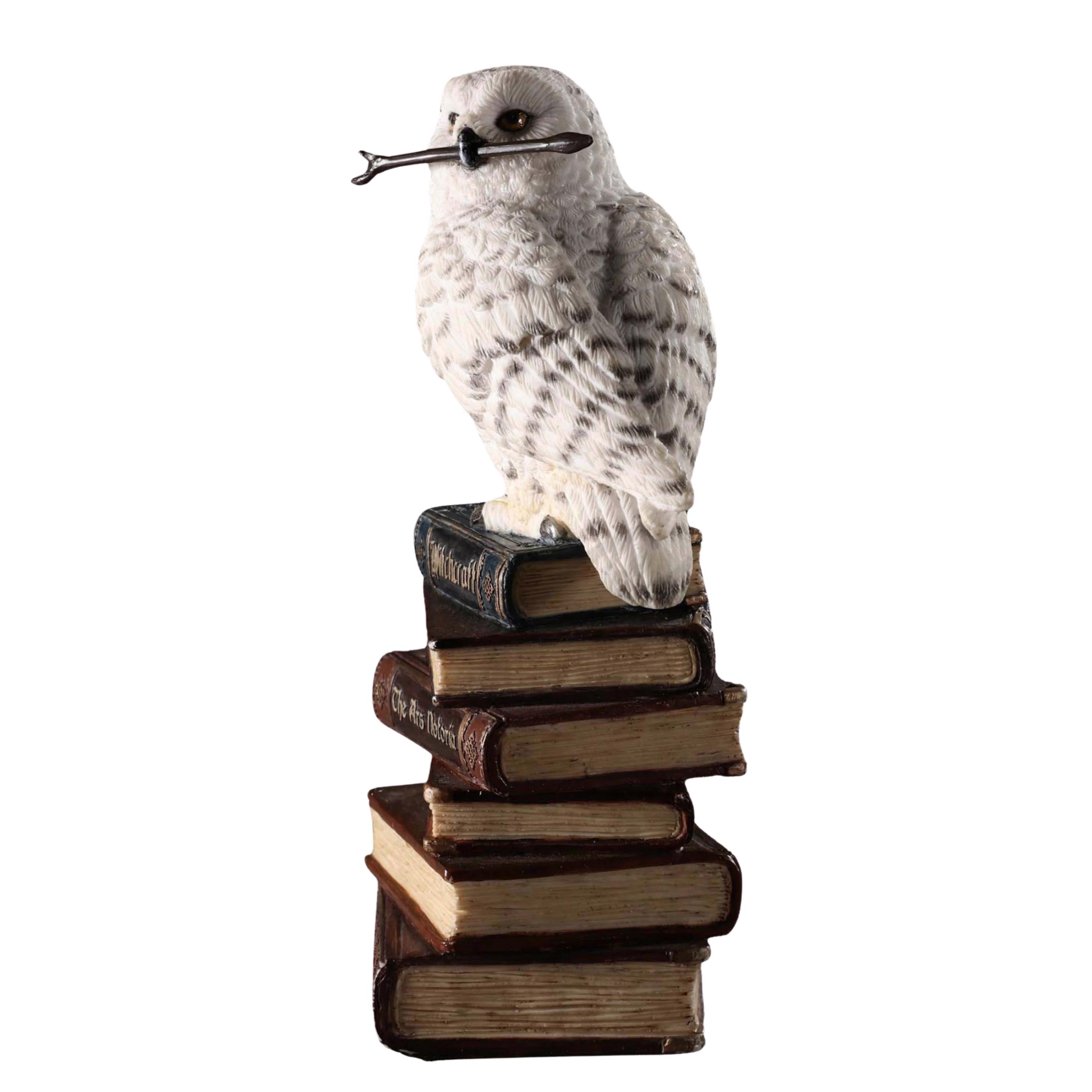 Magic Wand Snowy Owl On Book Stack