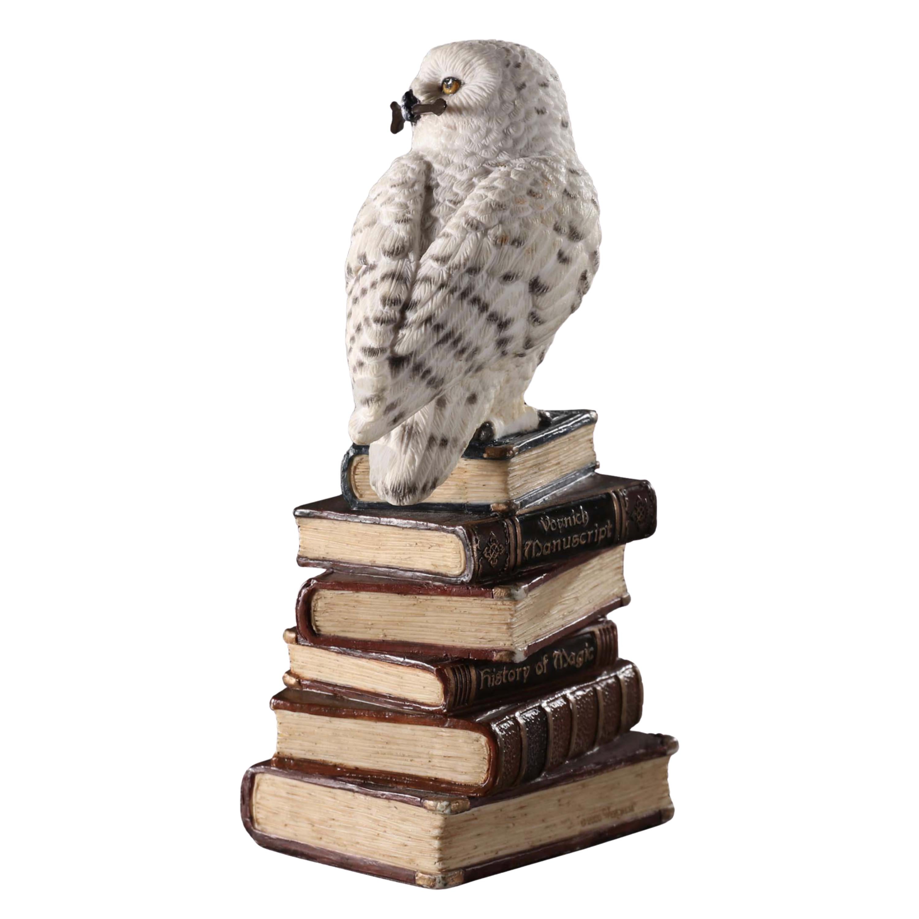 Magic Wand Snowy Owl On Book Stack