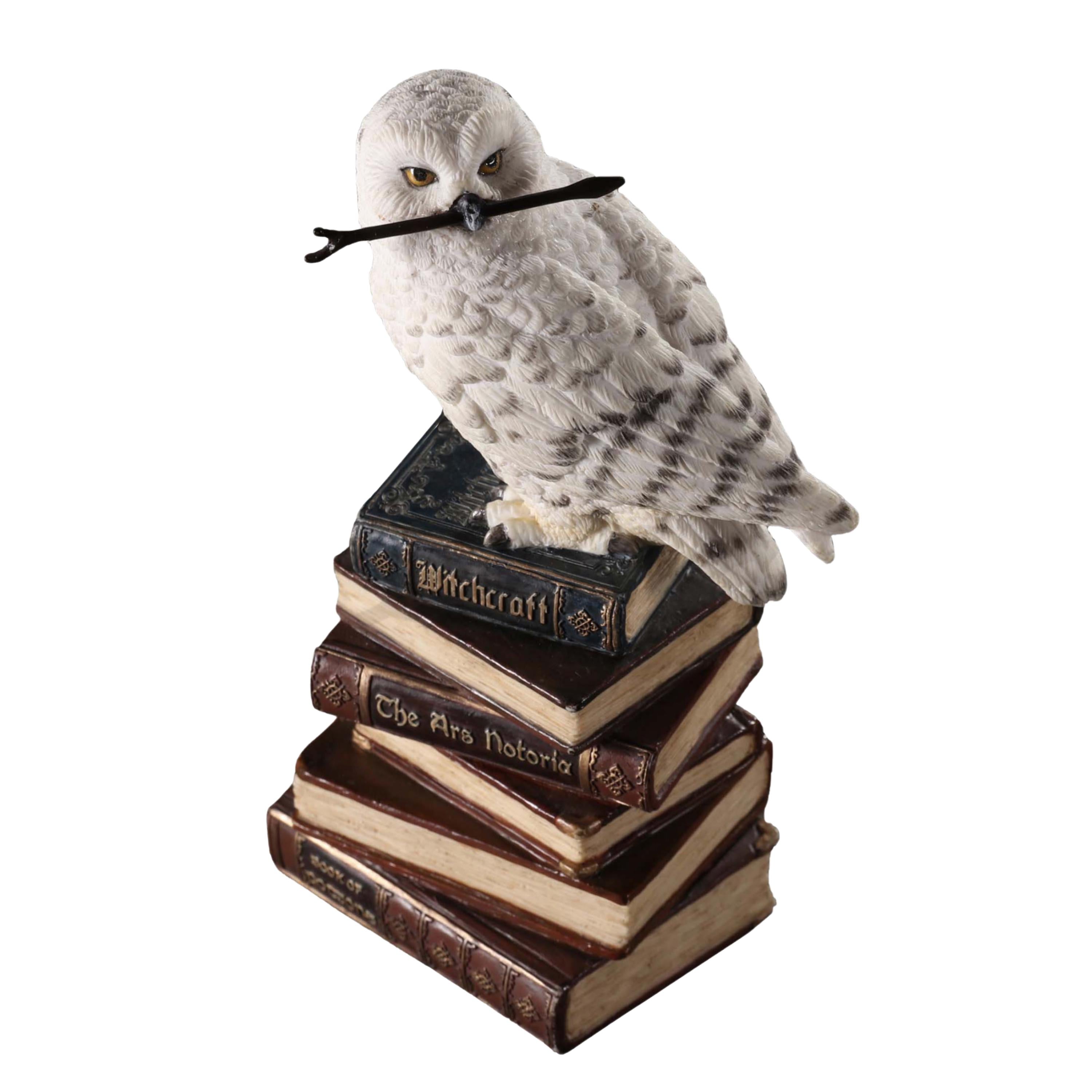 Magic Wand Snowy Owl On Book Stack
