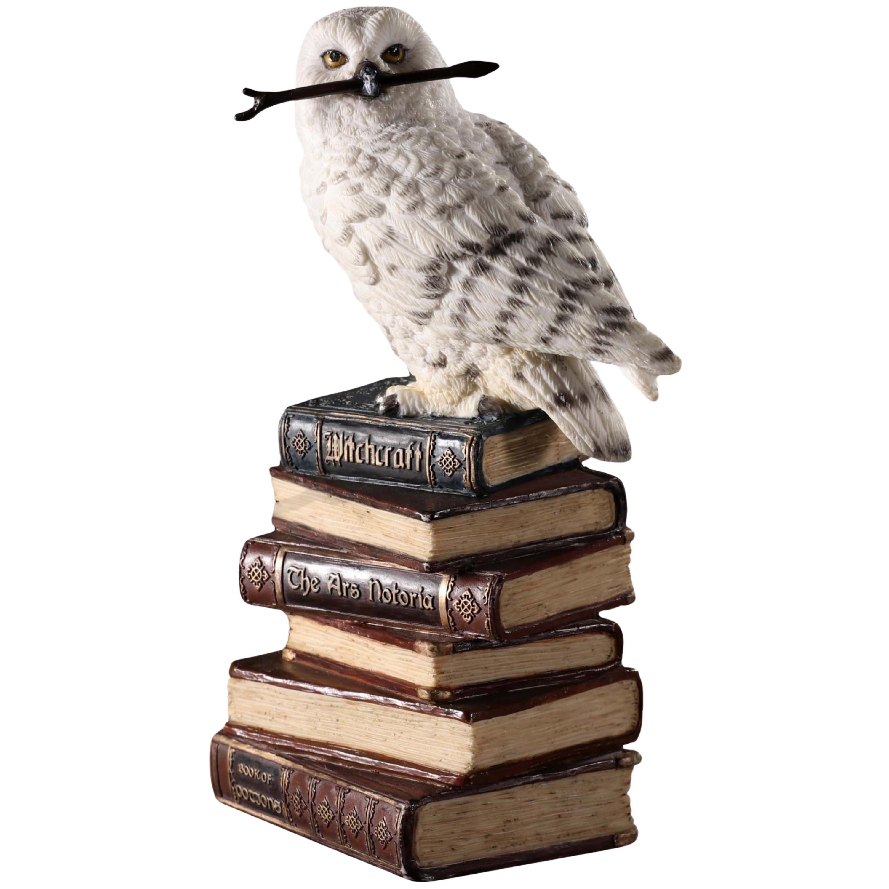 Magic Wand Snowy Owl On Book Stack