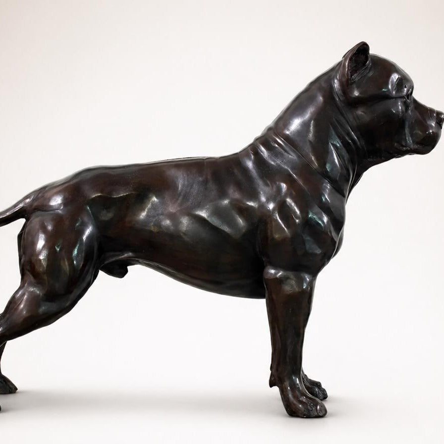 Life Size Solid Bronze Pitbull Garden Sculpture (16 Inches)
